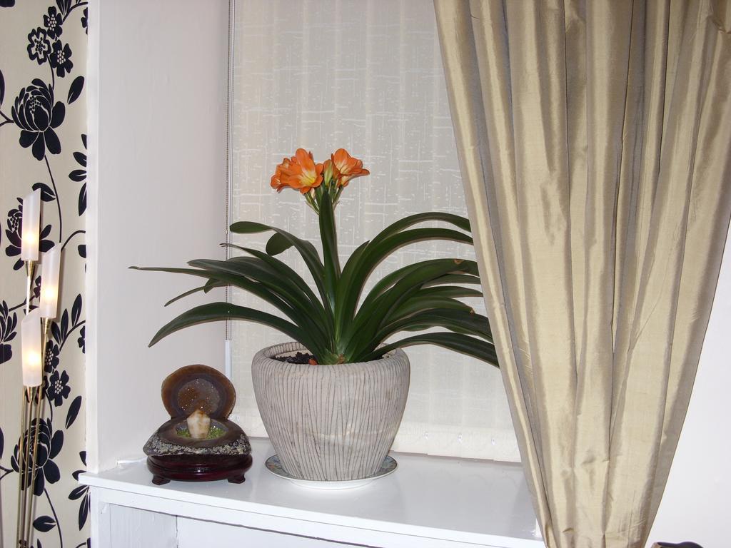 Alba Guest House Aberdeen Extérieur photo